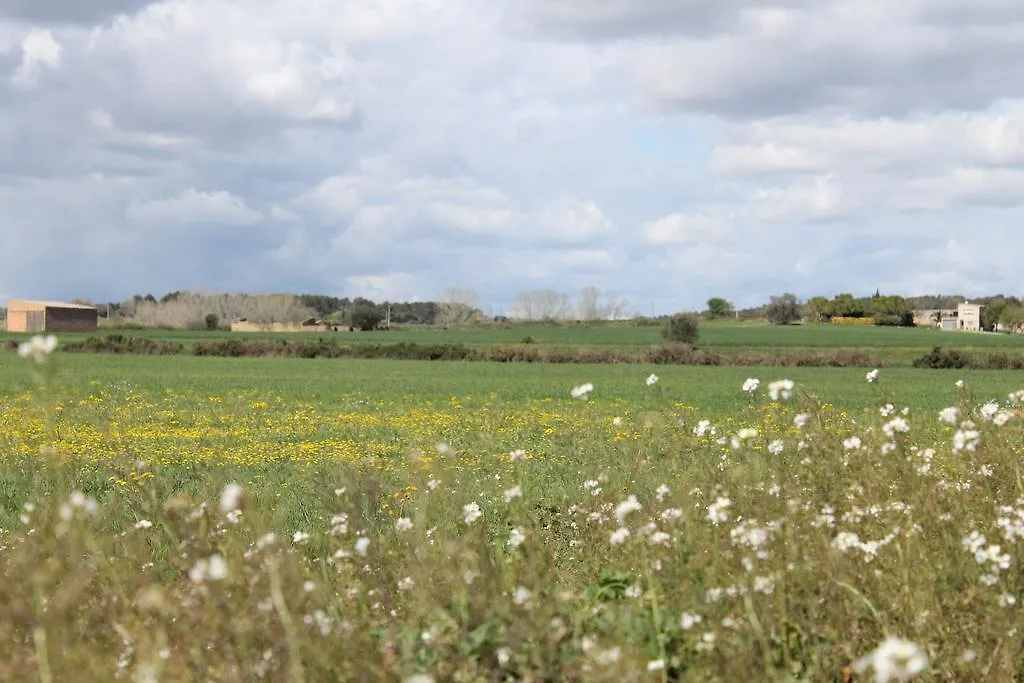 L'Essencia De L'Emporda -Girona- Lejlighed Verges 0*,